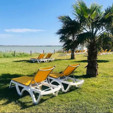 352 8 Personnes Wifi Gratuite, Piscines, 4 Etoiles Siblu Des Reves * ラット